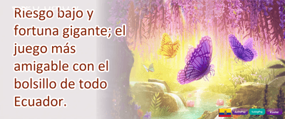 Bono de Referido Amigo promotion